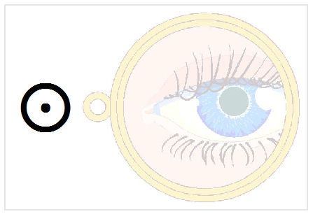 BlissNatural Flash Card: Eye