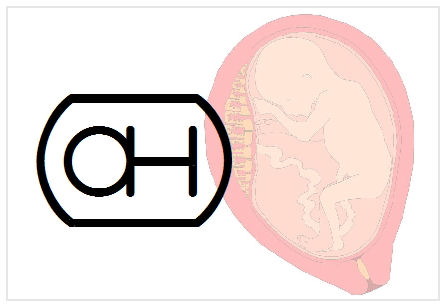 BlissNatural Flash Card: Fetus