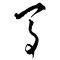 Horse written in Cursive Script