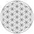 Flower of Life