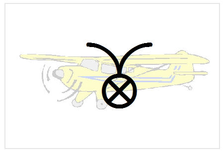 BlissNatural Flash Card: Airplane