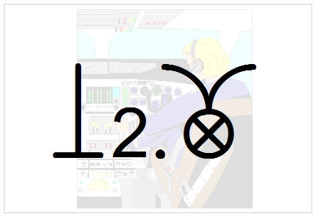 BlissNatural Flash Card: Co-Pilot