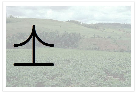 BlissNatural Flash Card: Countryside