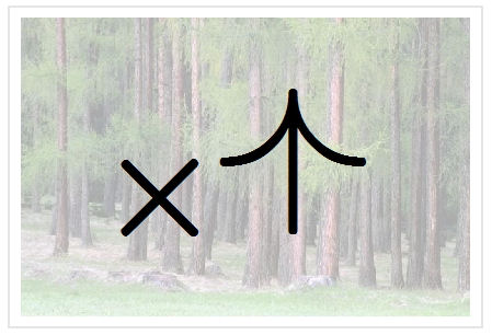 BlissNatural Flash Card: Grove