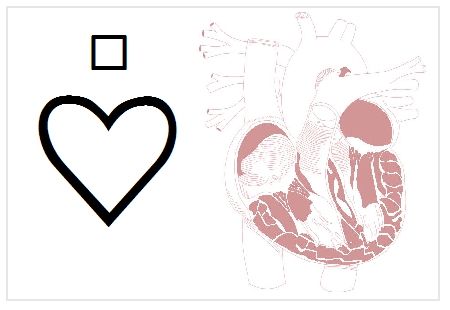 BlissNatural Flash Card: Heart