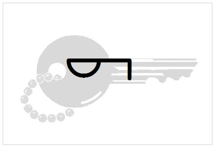 BlissNatural Flash Card: Key